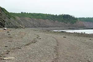 Scotia: Beach at Joggins Nova Scotia