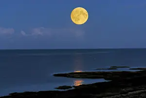 Moonlight: Beach near Als at the Kattegat, Jutland, Denmark