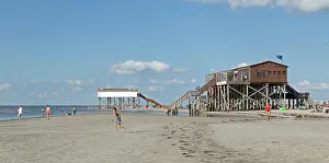 Stilt: Beach with Pile Dwelling Restaurant Herring Gull
