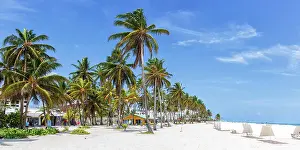 Bight: Beach Playa Spratt Bight Travel Holiday Vacation