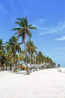 Bight: Beach Playa Spratt Bight Travel Holiday Vacation