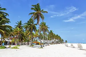 Bight: Beach Playa Spratt Bight Travel Holiday Vacation
