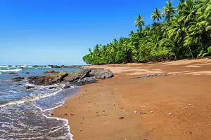 Puntarenas Province: The beach at San Pedrillo, Corcovado National Park