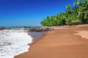 Puntarenas Province: The beach at San Pedrillo, Corcovado National Park