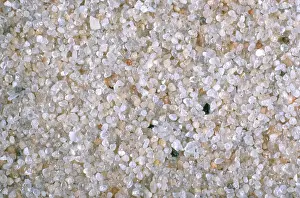 Sorted: Beach Sand