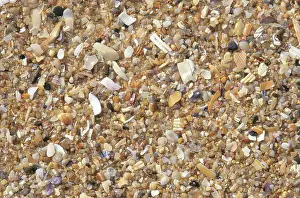 Coarse: Beach Sand