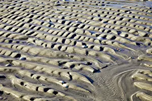 Marks: Beach Sand Abstract