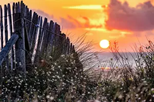 Typical: Beach, sea, dune landscape with the regionally typical