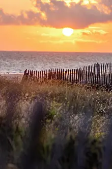 Typical: Beach, sea, dune landscape with the regionally typical