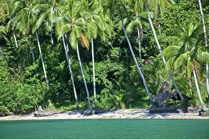 Connie: Beach, Tomori Bay and Morowali Nature Reserve