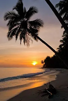 Lines: Beach on the tropical island. Indonesia. Indian Ocean