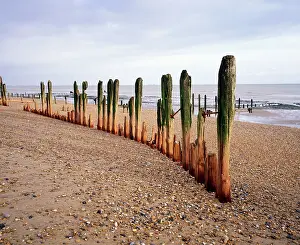 Groynes: Beach - Weathered groynes at Winchelsea Beach