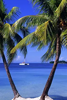 Greg: Beaches at Negril, Jamaica