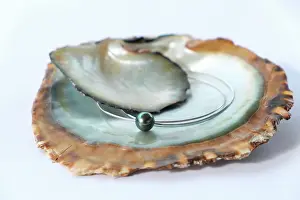 Pearls: The beads called Tahitian black pearls is an AOC
