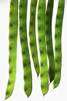 Sword: Bean