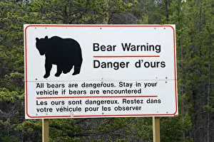 Warning: Bear warning sign, Jasper National Park