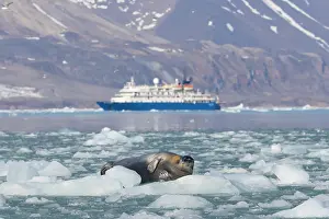 Ship: Bearded Seal boat