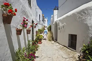 Whitewashed: Beautiful alleyway with flowerpots and brillianty