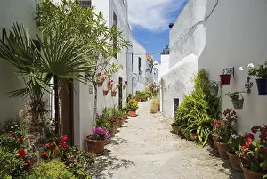 Whitewashed: Beautiful alleyway with flowerpots and brillianty