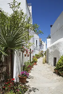 Whitewashed: Beautiful alleyway with flowerpots and brillianty