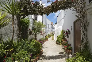 Whitewashed: Beautiful alleyway with flowerpots and brillianty