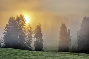 Mystic: Beautiful autumn sunrise in a misty landscape, s
