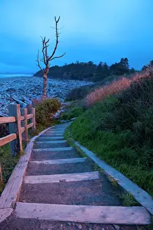 Stair: Beautiful beach area at dusk, Kalaloch Lodge