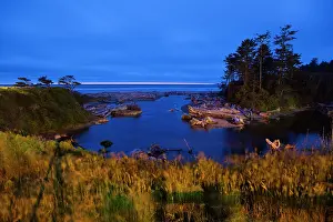 Driftwood: Beautiful beach area at dusk, Kalaloch Lodge