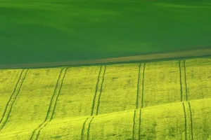 Moravia: Beautiful and colorful abstract landscape, with