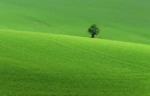 Moravia: Beautiful and colorful abstract landscape, with