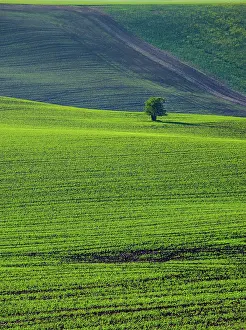 Moravia: Beautiful and colorful abstract landscape, with
