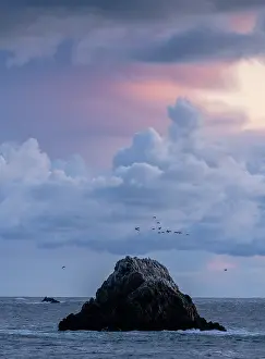 Insular: Beautiful evening sky looking from Point lobos state