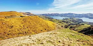 Banks: The beautiful landscape of Banks Peninsula near A