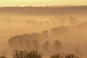 Moravia: Beautiful Moravian fields with avenues of trees