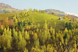 Piatra: Beautiful pastoral montane landscape, with traditional