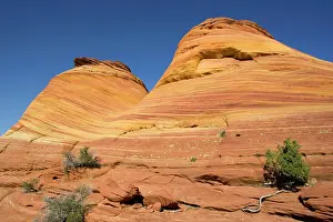 Buttes: Beautiful red and yellow striated Navajo sandstone