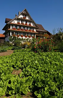 Chalets: Beautiful Swiss chalets with flowers near