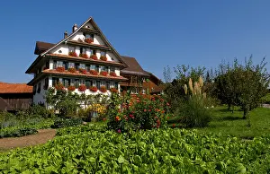 Chalets: Beautiful Swiss chalets with flowers near