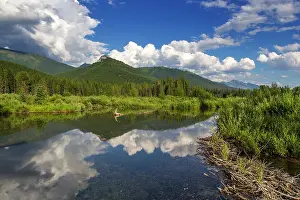 Beaver: Beaver pond along the Flathead River near