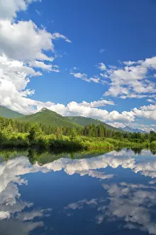 Beaver: Beaver pond along the Flathead River near