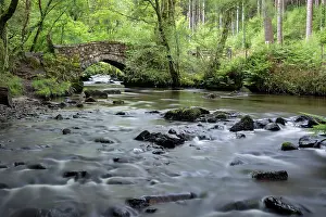 Bridge: Becka Brook - Dartmoor - Devon - UK