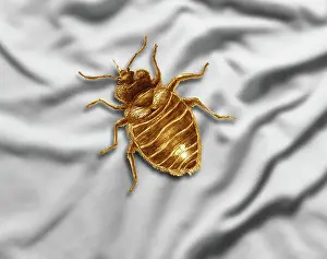Lectularius: Bed Bug