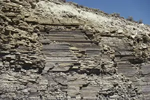 Crumbly: Bedded Limestone