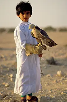 Nomads: Bedouin Boy - learning falconry - Saker Falcon