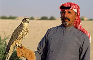 Falconry: Bedouin man - falconry