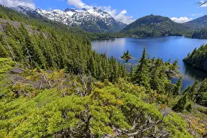 Coniferales: Bedwell Lake, Strathcona Provincial Park. Protected
