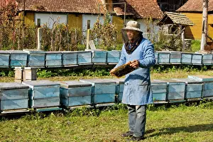 Hives: Bee-keeper among his hives in the old saxon village
