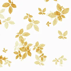 Crazy: Beech, Fagus sylvatica, abstract pattern of leaves, colour m