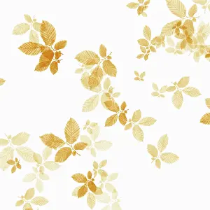 Crazy: Beech, Fagus sylvatica, abstract pattern of leaves, colour m