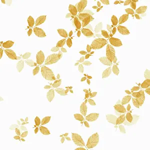 Crazy: Beech, Fagus sylvatica, abstract pattern of leaves, colour m